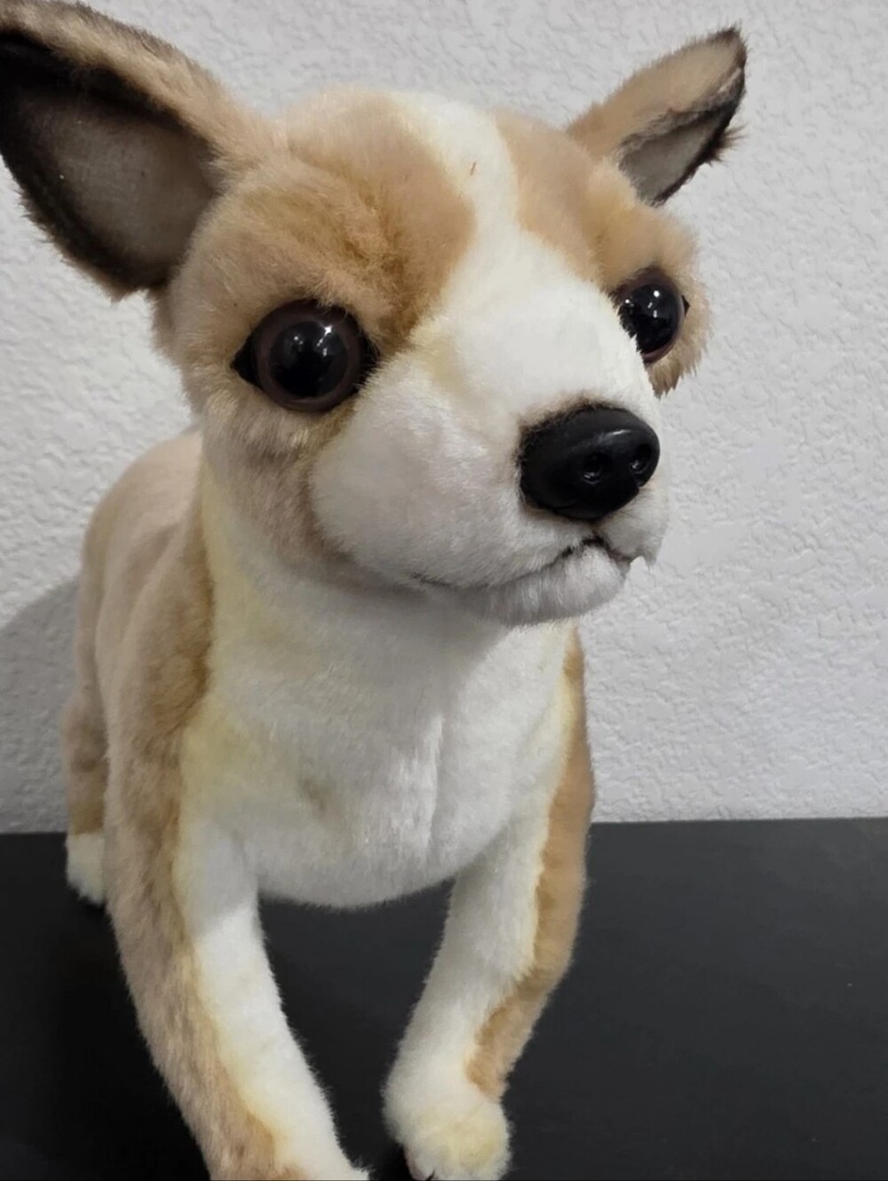 Hansa Plush Chihuaha Realistic Life Like 2015 Pet Replacement